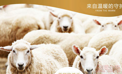 冬季暖潮 加厚打底裤如何成为市场爆款？——以诸暨市周婉锦针织产品为例